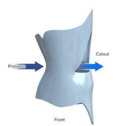 ارتز Charleston and Providence orthoses 
